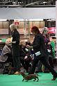 Crufts2011_2 1481